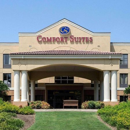 Comfort Suites Starkville Esterno foto
