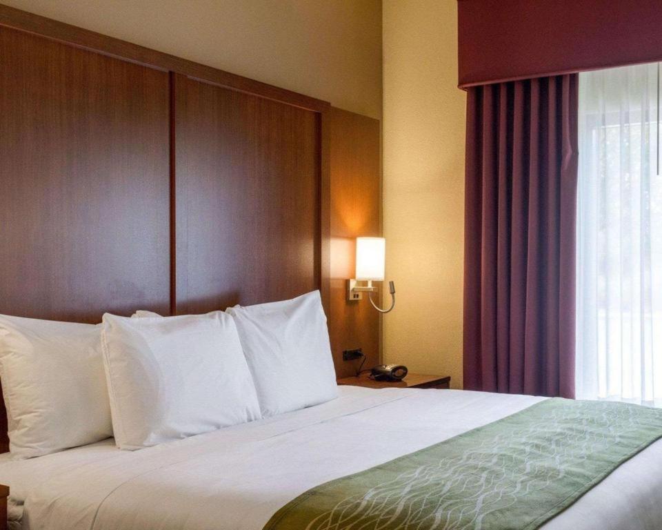 Comfort Suites Starkville Esterno foto