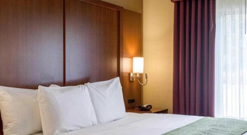 Comfort Suites Starkville Esterno foto