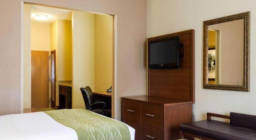Comfort Suites Starkville Esterno foto